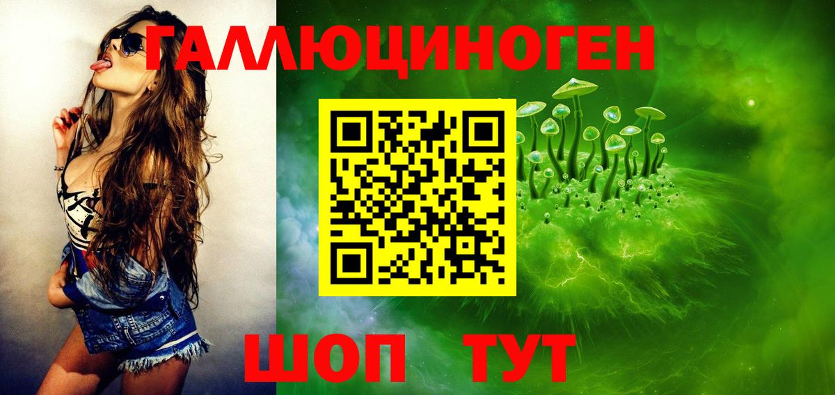 Галлюциногенные грибы Cubensis Димитровград