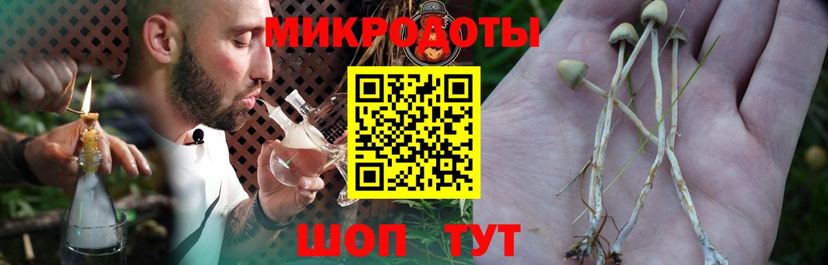 как найти наркотики  Вход с VPN  Димитровград  Псилоцибиновые грибы Cubensis  Псилоцибиновые грибы Cubensis 